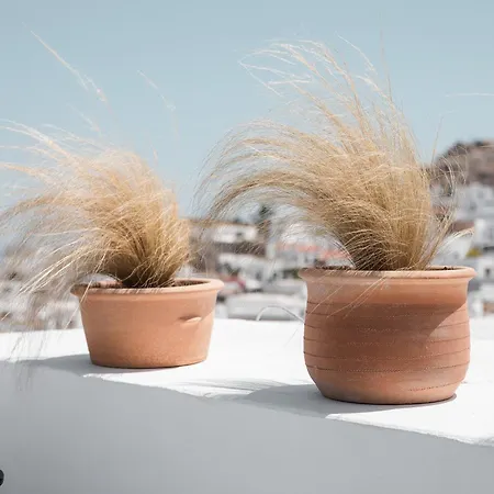 Noema - Agapitos Apartament *